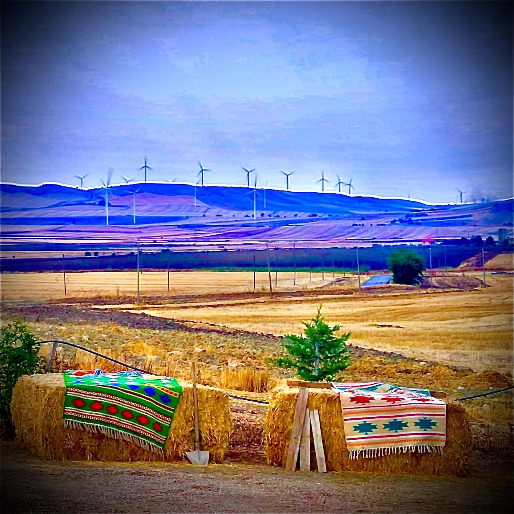 Antica Masseria Il Casone 坎德拉 外观 照片