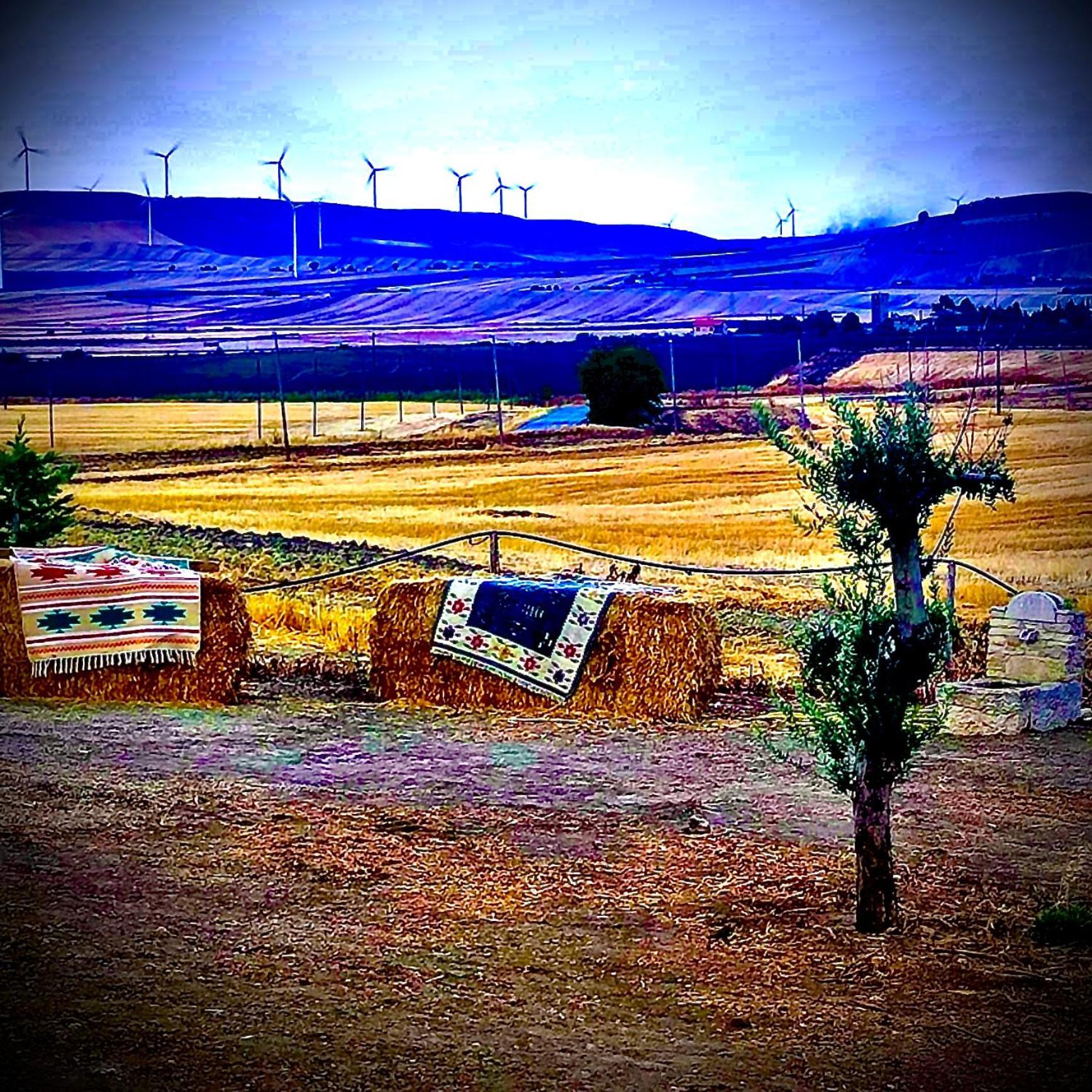 Antica Masseria Il Casone 坎德拉 外观 照片